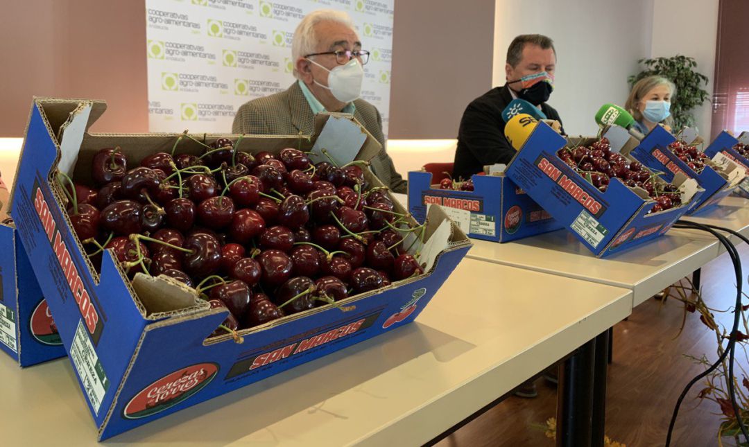De izquierda a derecha, el presidente de Cooperativas Agroalimentarias, Higinio Castellano, el diputado de Agricultura, Pedro Bruno, y la presidenta de la cooperativa 'San Marcos', Ana Fernández. De izquierda a derecha, el presidente de Cooperativas Agroalimentarias, Higinio Castellano, el diputado de Agricultura, Pedro Bruno, y la presidenta de la cooperativa 'San Marcos', Ana Fernández.