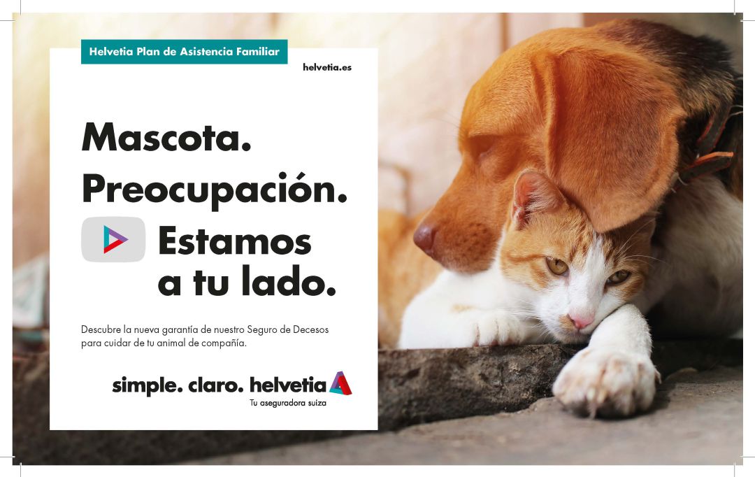 Plan de Asistencia Familiar Plan de Asistencia Familiar
