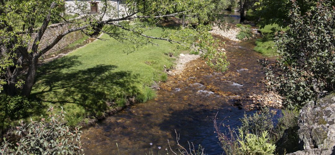 Han acordado la elaboración de un informe sobre la situación del río a su paso por cada municipio Han acordado la elaboración de un informe sobre la situación del río a su paso por cada municipio