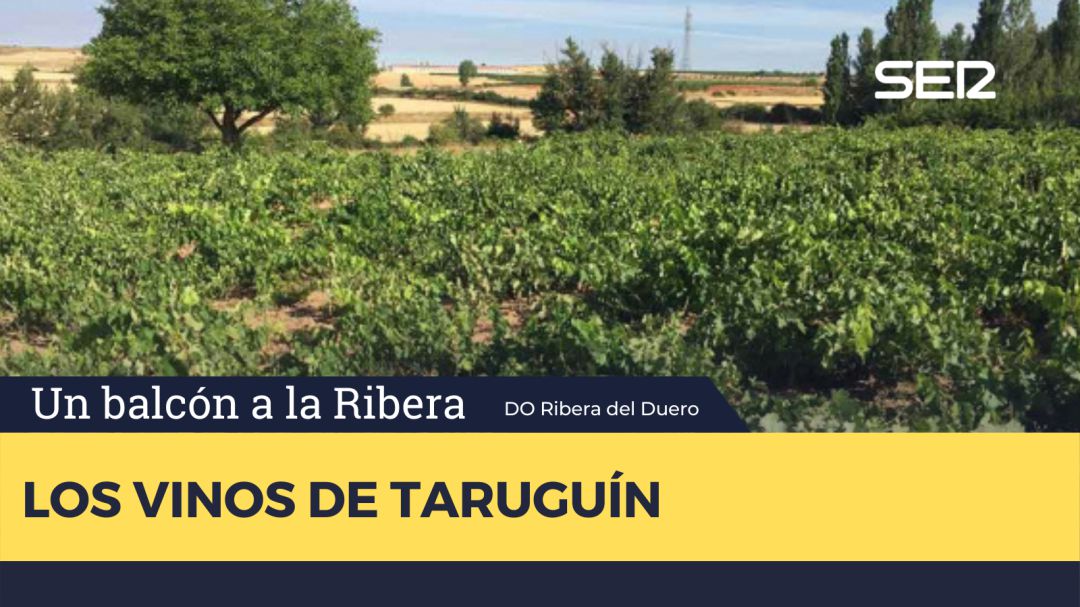 Taruguín Taruguín
