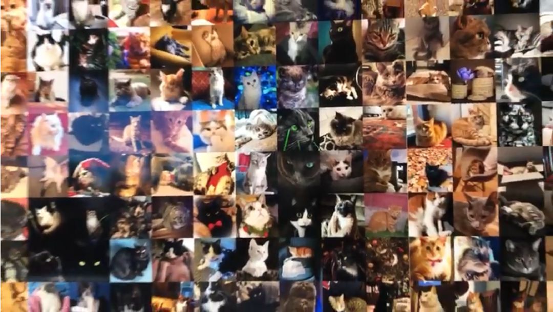 Gatos del Mundo de Tete Álvarez Gatos del Mundo de Tete Álvarez