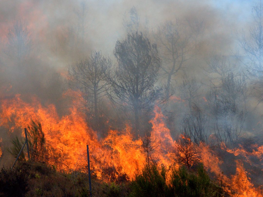 La Junta adjudica un servicio de retén de maquinaria de prevención de incendios por más de 72.000 euros La Junta adjudica un servicio de retén de maquinaria de prevención de incendios por más de 72.000 euros