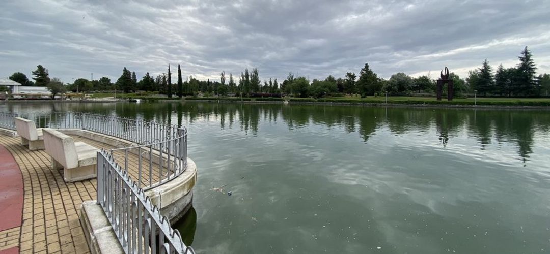 El lago del parque municipal de Pinto El lago del parque municipal de Pinto