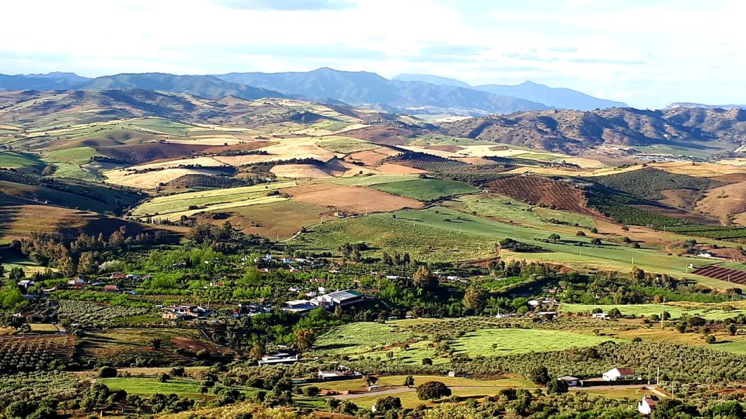 La Jara en el Valle del Guadalhorce (Málaga) La Jara en el Valle del Guadalhorce (Málaga)