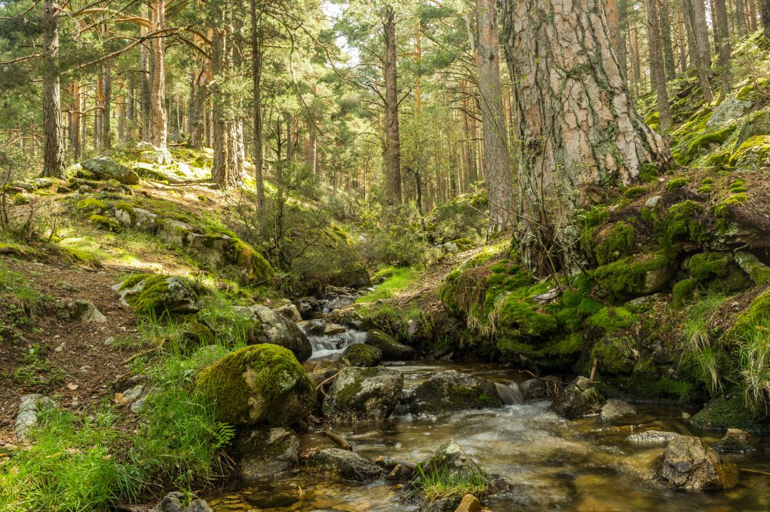 Uno de los planes que propone National Geographic vincula la sierra de Madrid con 'El Señor de los Anillos' Uno de los planes que propone National Geographic vincula la sierra de Madrid con 'El Señor de los Anillos'