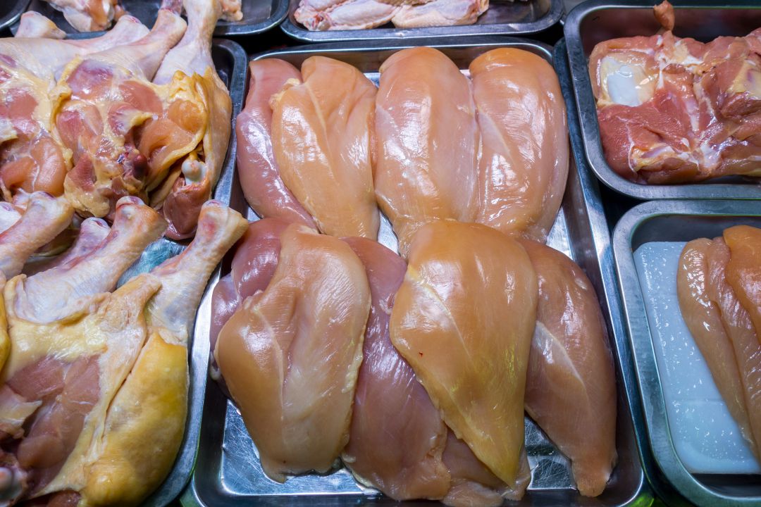 Pollo Pollo