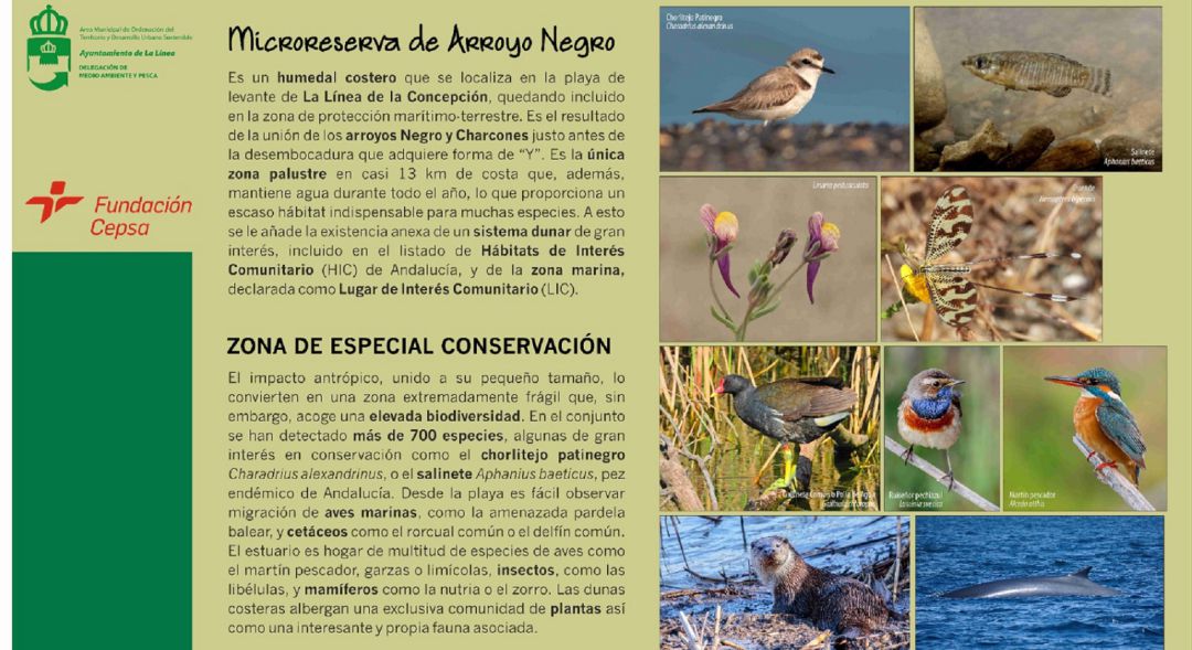Cartelería de Arroyo Negro. Cartelería de Arroyo Negro.