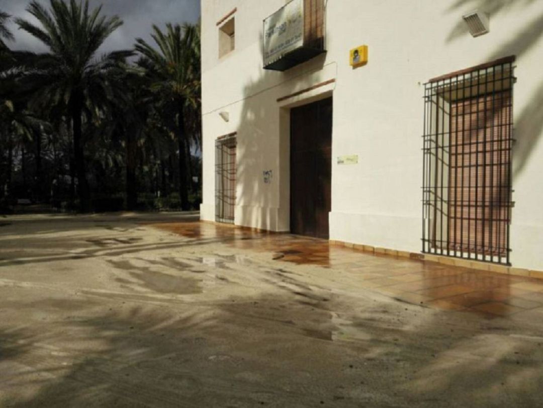 Asociación Párkinson Elche Asociación Párkinson Elche