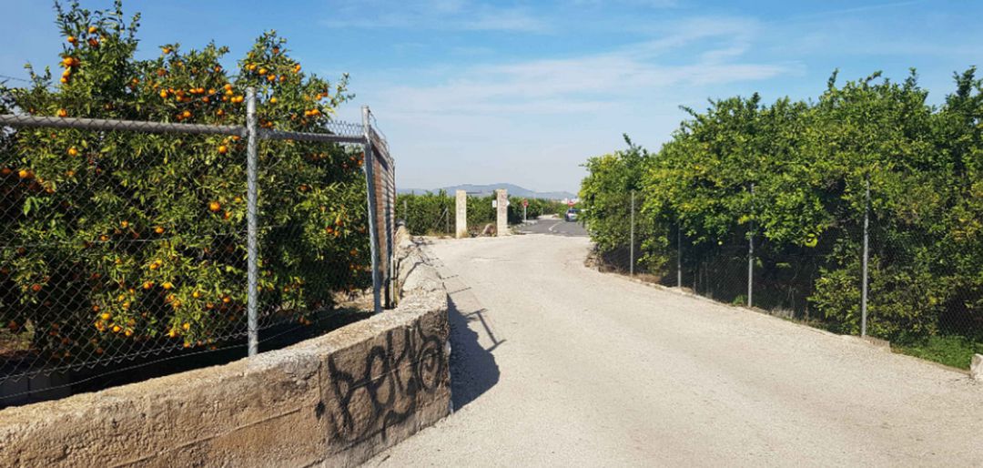 Zona de naranjos afectada por la nueva Cv-60 Zona de naranjos afectada por la nueva Cv-60