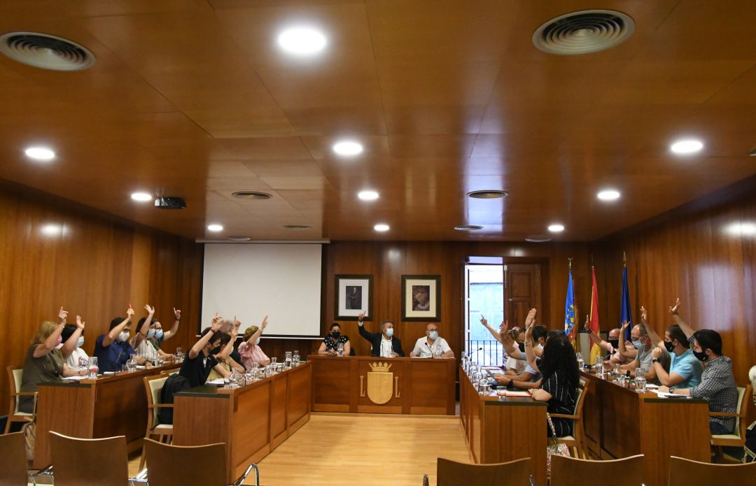 Pleno del mes de junio. Pleno del mes de junio.