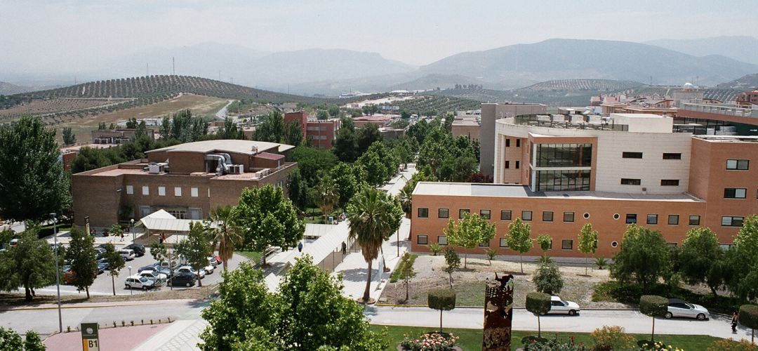 Campus de Las Lagunillas de la UJA. Campus de Las Lagunillas de la UJA.