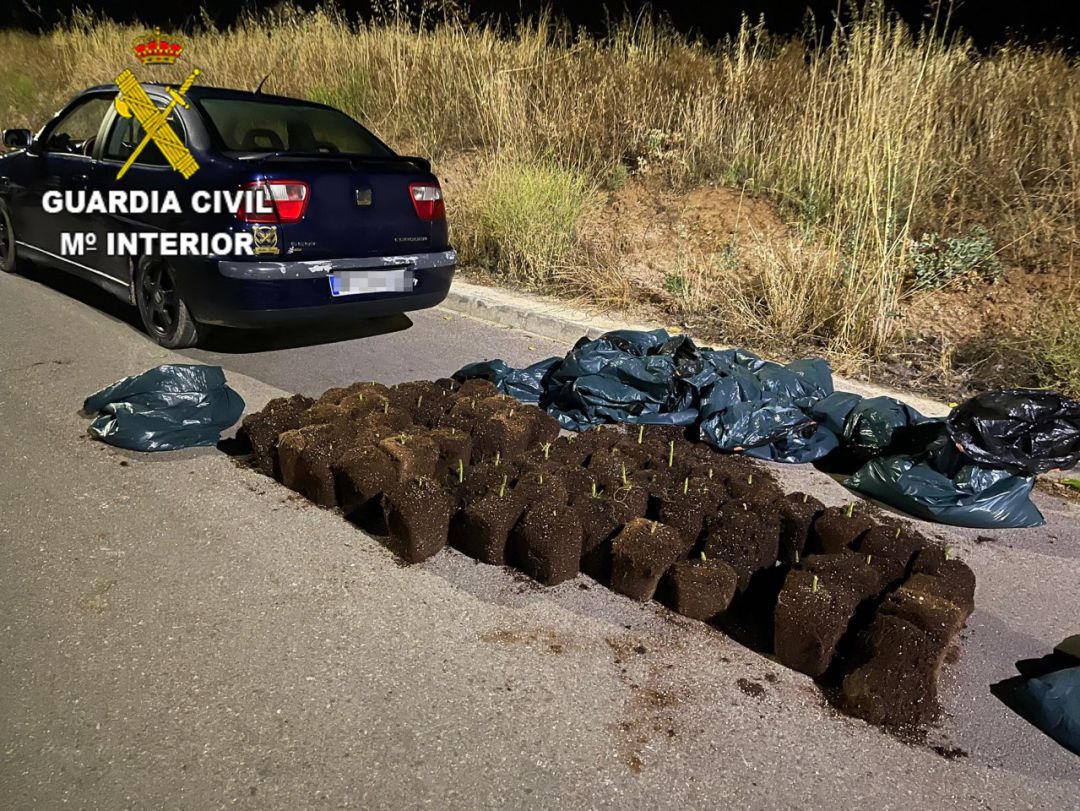 Sospecharon de un hombre que introdujo en su vehículo varias bolsas de basura muy voluminosas Sospecharon de un hombre que introdujo en su vehículo varias bolsas de basura muy voluminosas