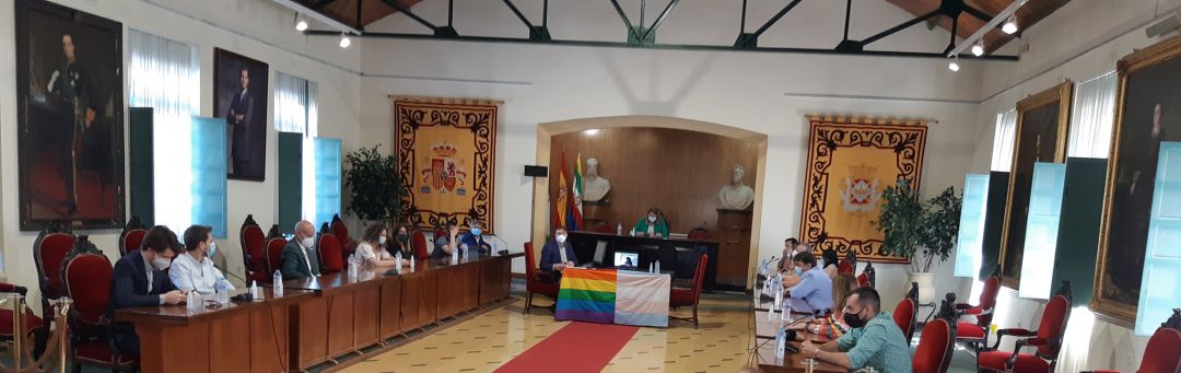 Pleno Institucional con movivo del Dñia Internacional del orgullo LGTBI. Pleno Institucional con movivo del Dñia Internacional del orgullo LGTBI.