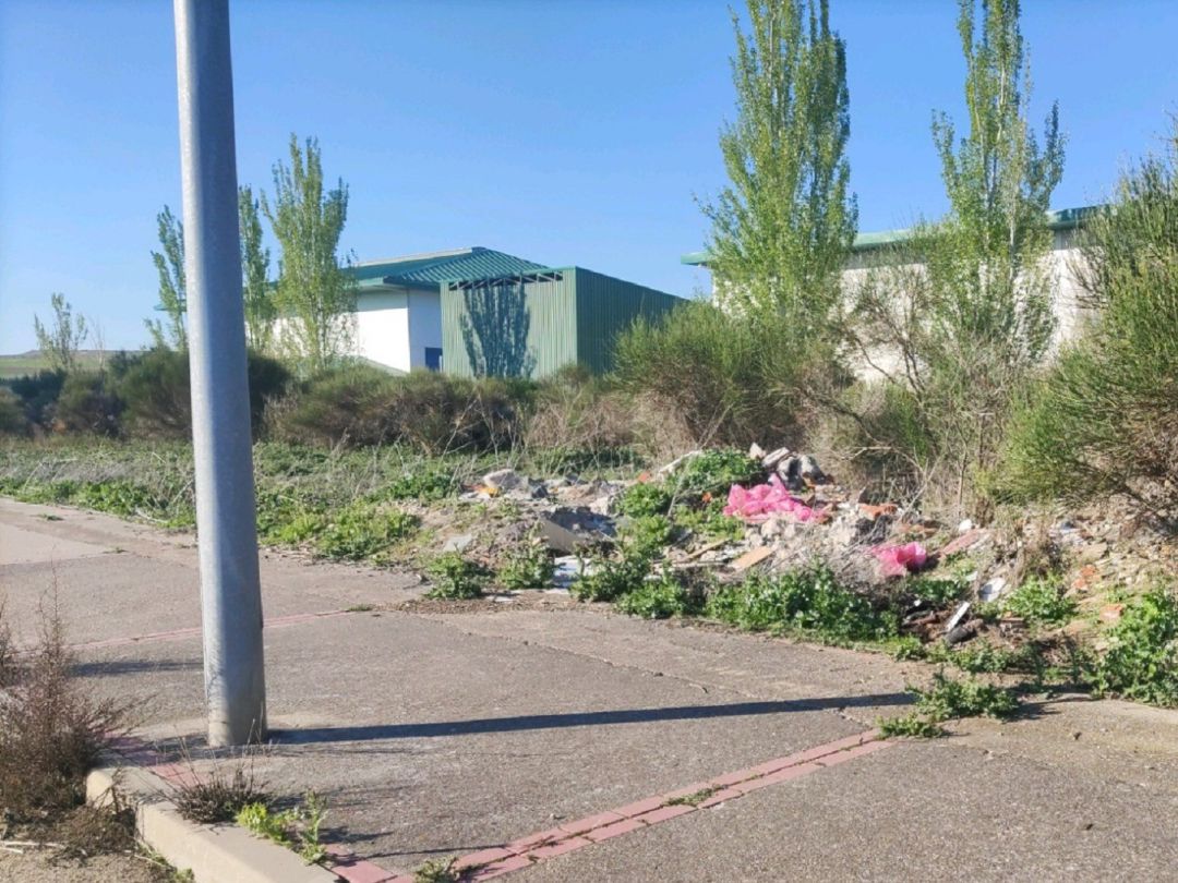 Estado de abandono que presentan algunas zonas de los polígonos industriales Estado de abandono que presentan algunas zonas de los polígonos industriales
