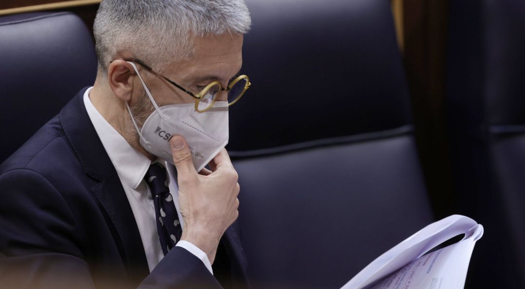 El ministro del Interior, Fernando Grande-Marlaska, en una sesión de control al Gobierno en el Congreso de los Diputados, El ministro del Interior, Fernando Grande-Marlaska, en una sesión de control al Gobierno en el Congreso de los Diputados,