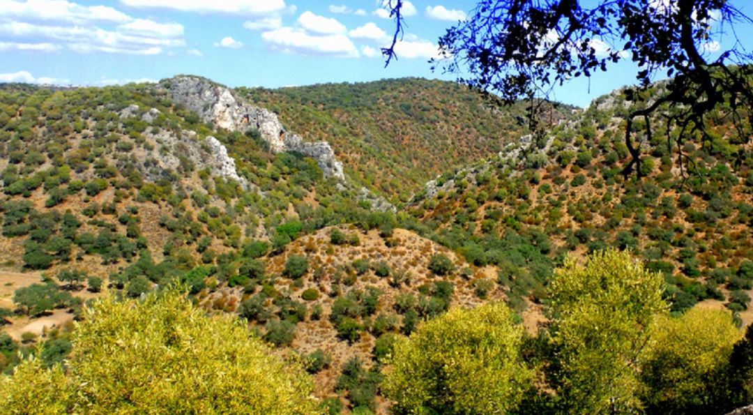 Paisaje típico de Sierra Morena Paisaje típico de Sierra Morena