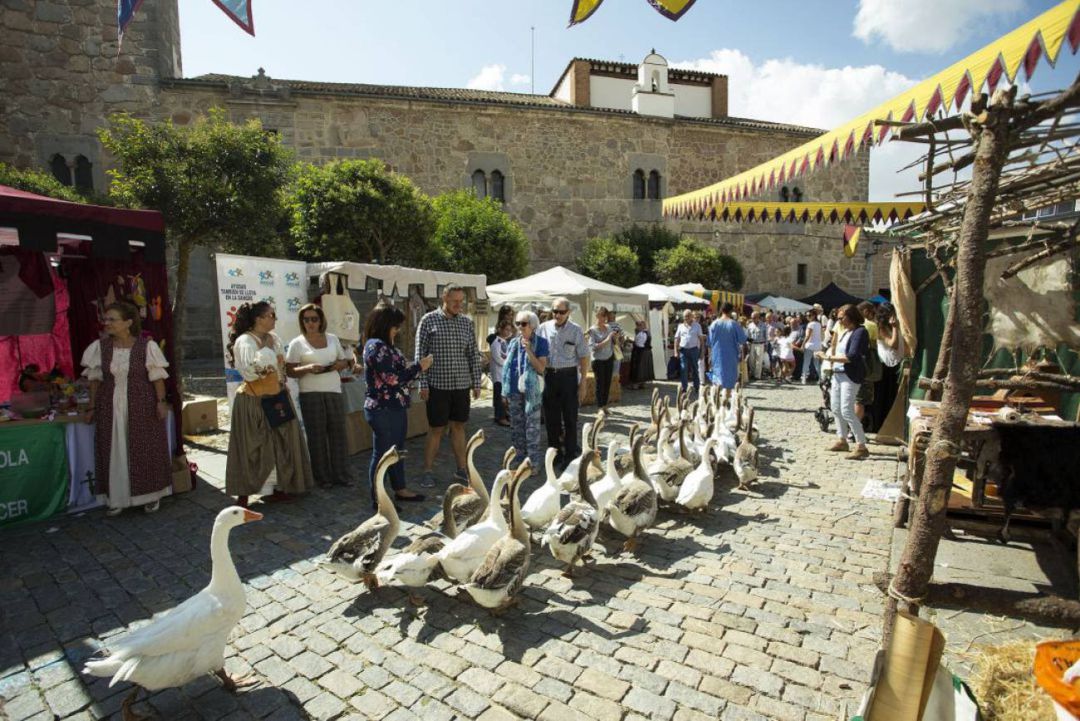 Desfile de ocas durante el Mercado Medieval en una edición pasada Desfile de ocas durante el Mercado Medieval en una edición pasada