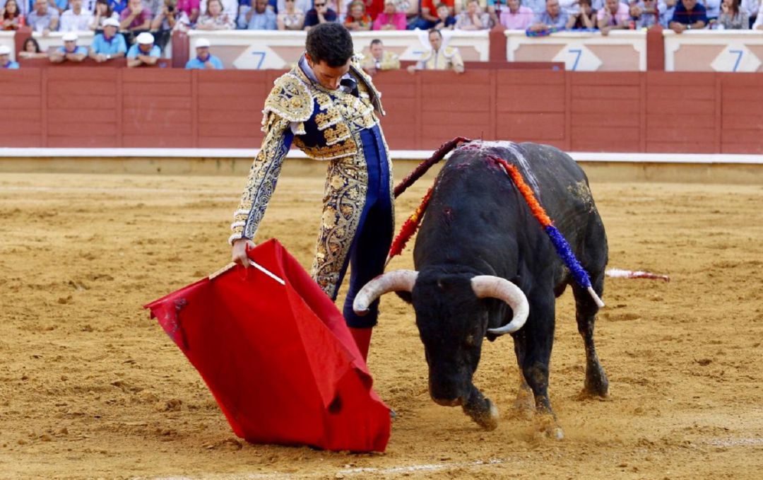 David de Miranda se suma al cartel de la Feria Taurina de Arévalo David de Miranda se suma al cartel de la Feria Taurina de Arévalo