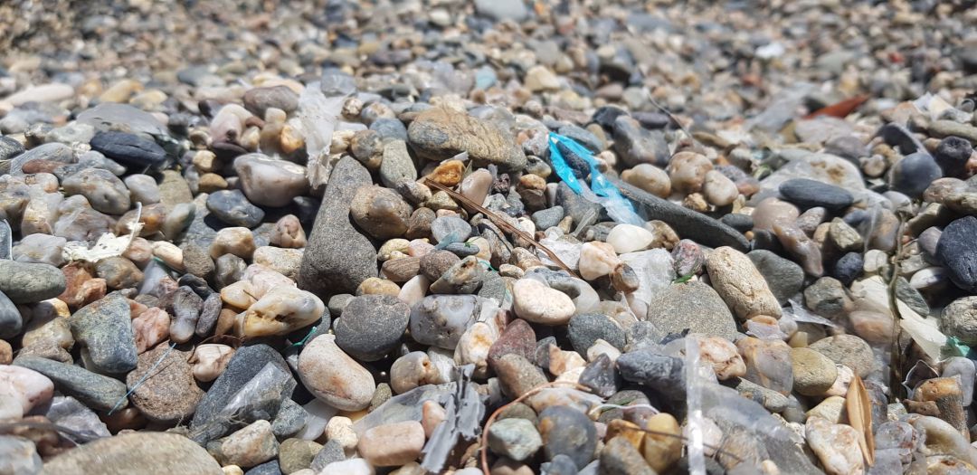 Una mostra dels plàstics que han sortit a Portbou entre d'altres llocs Una mostra dels plàstics que han sortit a Portbou entre d'altres llocs