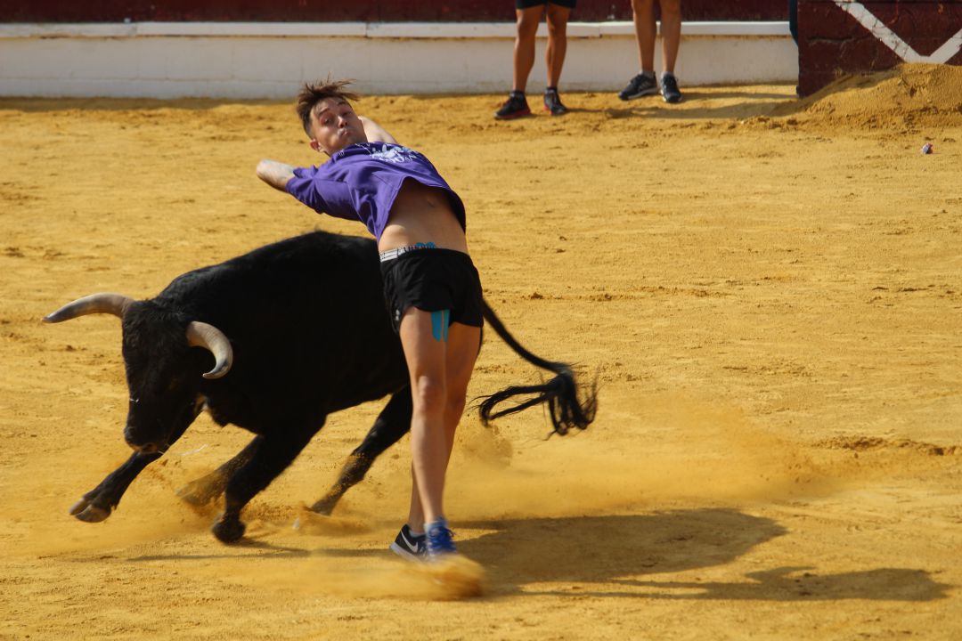 Si hay encierros, este año no se premiará a los cortadores de las capeas Si hay encierros, este año no se premiará a los cortadores de las capeas
