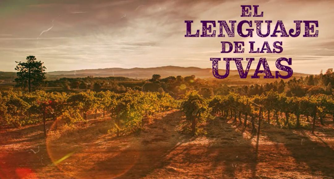 Publicada la primera novela de Pilar García Simarro Publicada la primera novela de Pilar García Simarro
