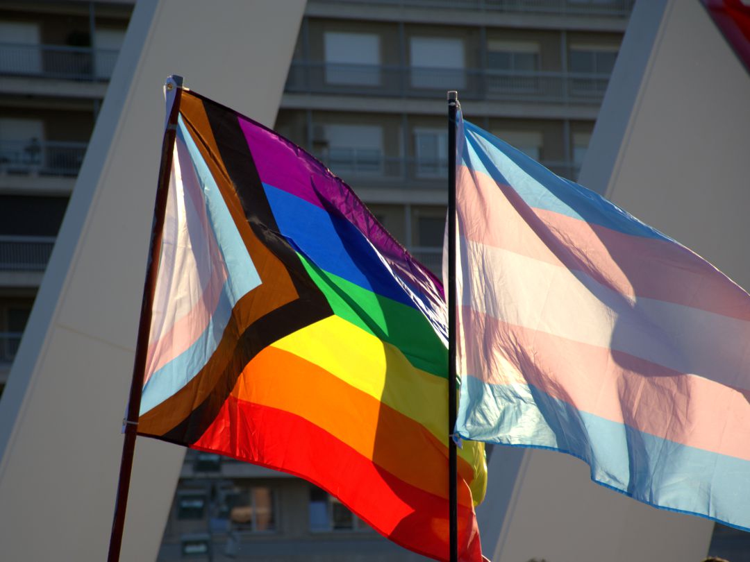 Bandera Trans y LGTB durante una manifestación del Orgullo en València. Bandera Trans y LGTB durante una manifestación del Orgullo en València.