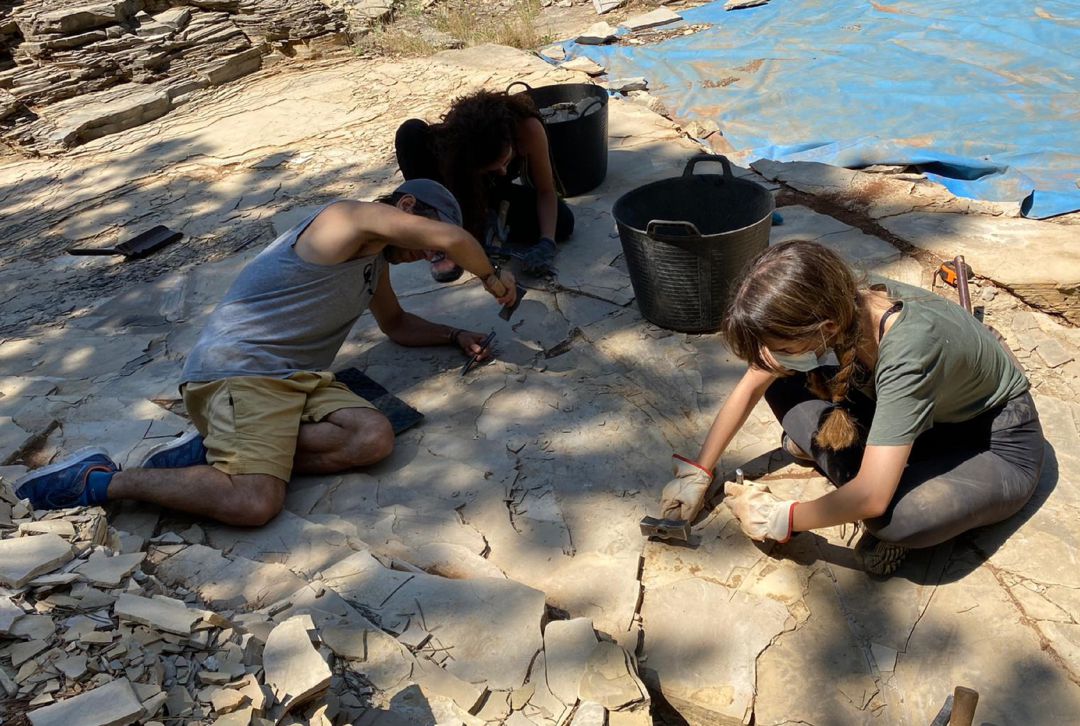 Los trabajos de excavación en el yacimiento paleontológico de Las Hoyas, en el municipo de La Cierva (Cuenca), se desarrollan hasta el 15 de julio. Los trabajos de excavación en el yacimiento paleontológico de Las Hoyas, en el municipo de La Cierva (Cuenca), se desarrollan hasta el 15 de julio.