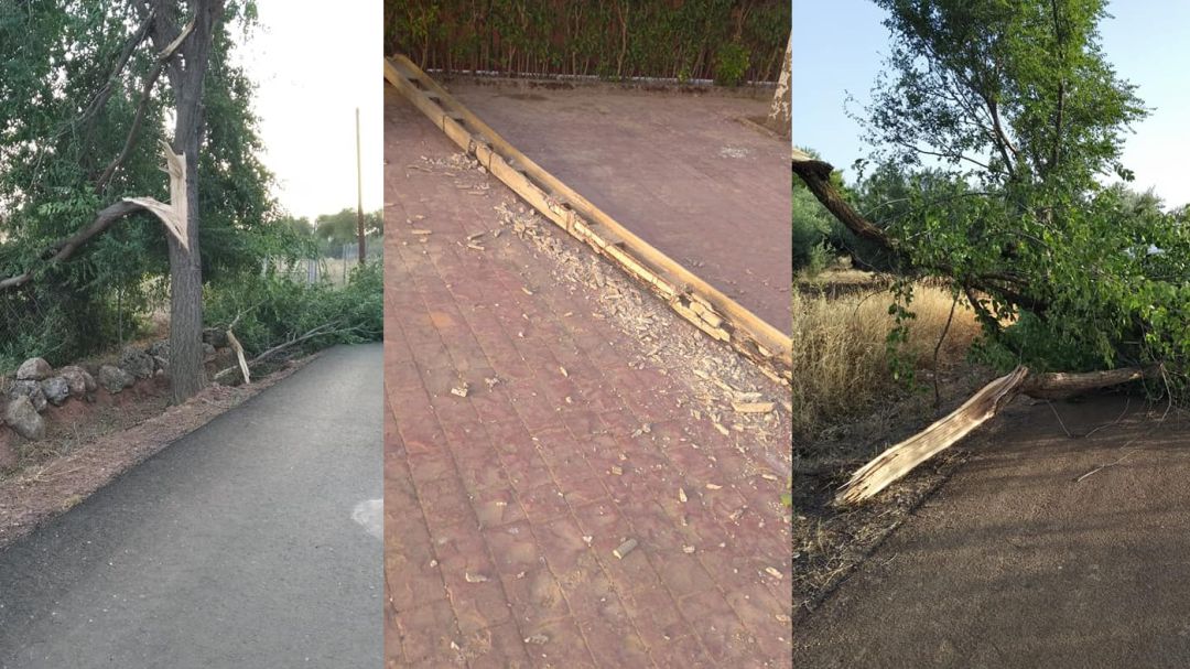 Imágenes de los destrozos en varias localidades de la comarca del Campo de Montiel Imágenes de los destrozos en varias localidades de la comarca del Campo de Montiel