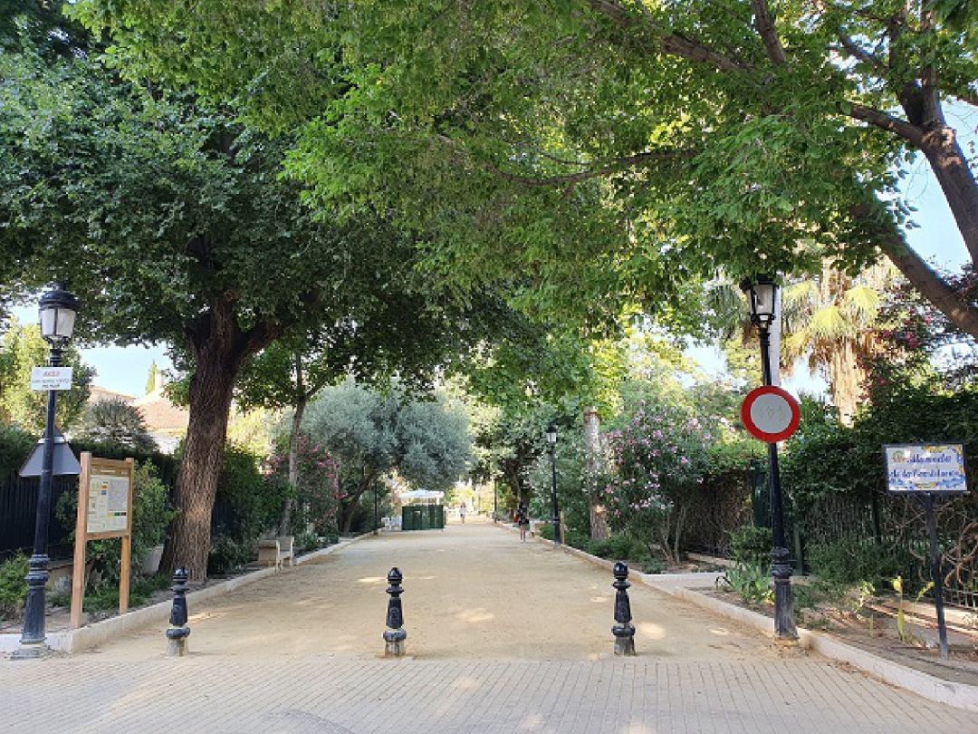 La Concejalía de Sanidad de Lorca llevará a cabo labores de fumigación para el control de plagas de mosquito en Las Alamedas el miércoles 14 de julio. La Concejalía de Sanidad de Lorca llevará a cabo labores de fumigación para el control de plagas de mosquito en Las Alamedas el miércoles 14 de julio.