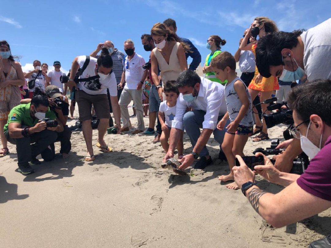 Devuelven al mar diez ejemplares de tortuga boba de los nacidos el pasado verano en playas de La Manga Devuelven al mar diez ejemplares de tortuga boba de los nacidos el pasado verano en playas de La Manga