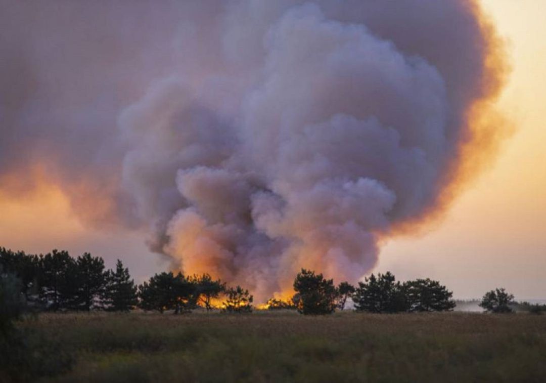 La Junta destina más de 171.000 euros a la Diputación Provincial de Palencia para financiar servicios de prevención, extinción de incendios y salvamento en el ámbito rural La Junta destina más de 171.000 euros a la Diputación Provincial de Palencia para financiar servicios de prevención, extinción de incendios y salvamento en el ámbito rural