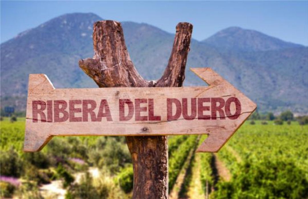 Ruta del Vino Ribera Ruta del Vino Ribera