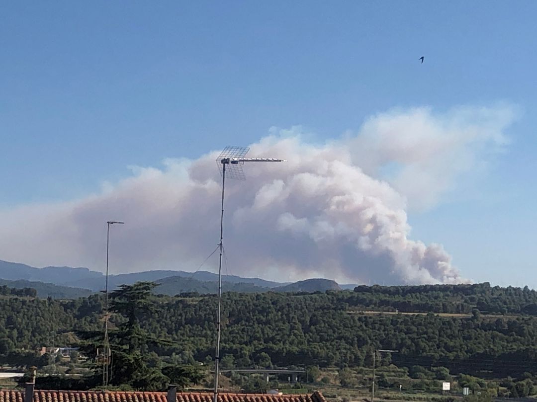 Incendio monte Yerga. Incendio monte Yerga.