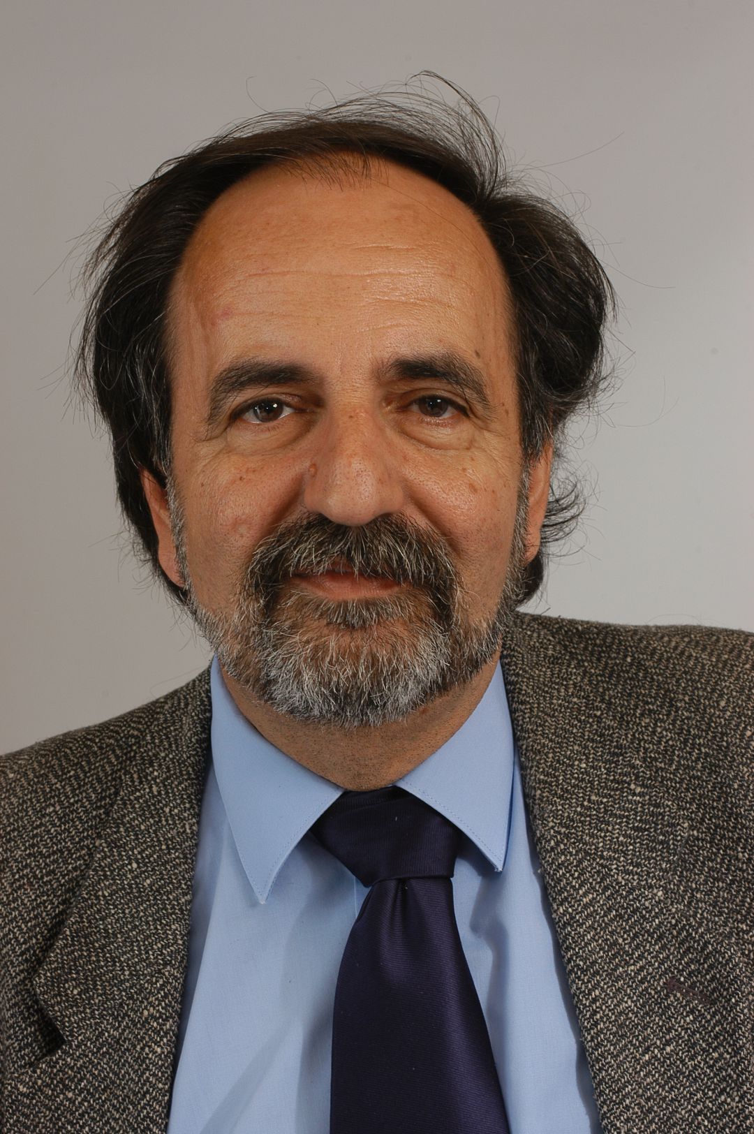 Plácido Fernández-Viagas Bartolomé Plácido Fernández-Viagas Bartolomé
