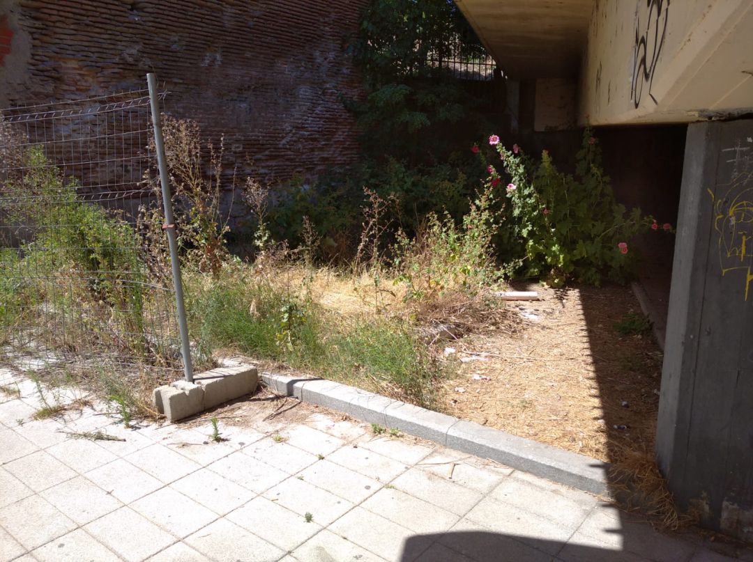 Estado en el que se encuentran las inmediaciones del puente de Hierro en Medina del Campo Estado en el que se encuentran las inmediaciones del puente de Hierro en Medina del Campo