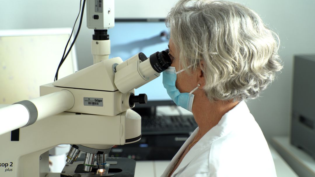 Laia Bernet, coordinadora de Patología del grupo Ribera Laia Bernet, coordinadora de Patología del grupo Ribera