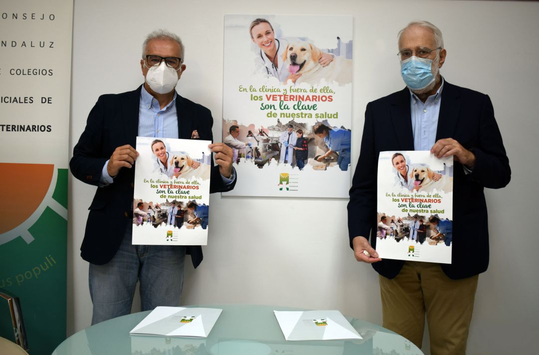 El CACV lanza una campaña sobre las funciones y competencias de los veterinarios menos conocidas por la sociedad El CACV lanza una campaña sobre las funciones y competencias de los veterinarios menos conocidas por la sociedad