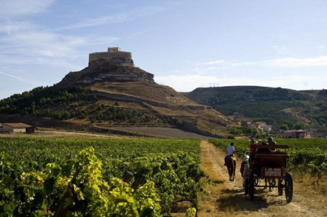 Ruta del Vino Ruta del Vino