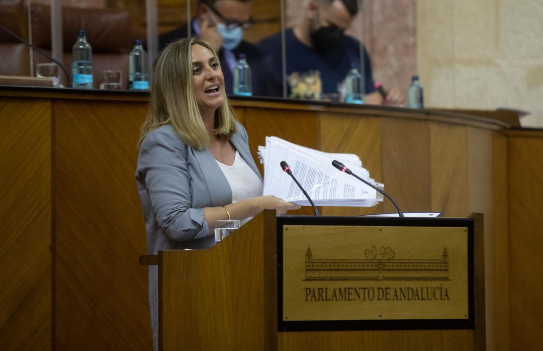 Carazo defiende la nueva Ley del Suelo Carazo defiende la nueva Ley del Suelo