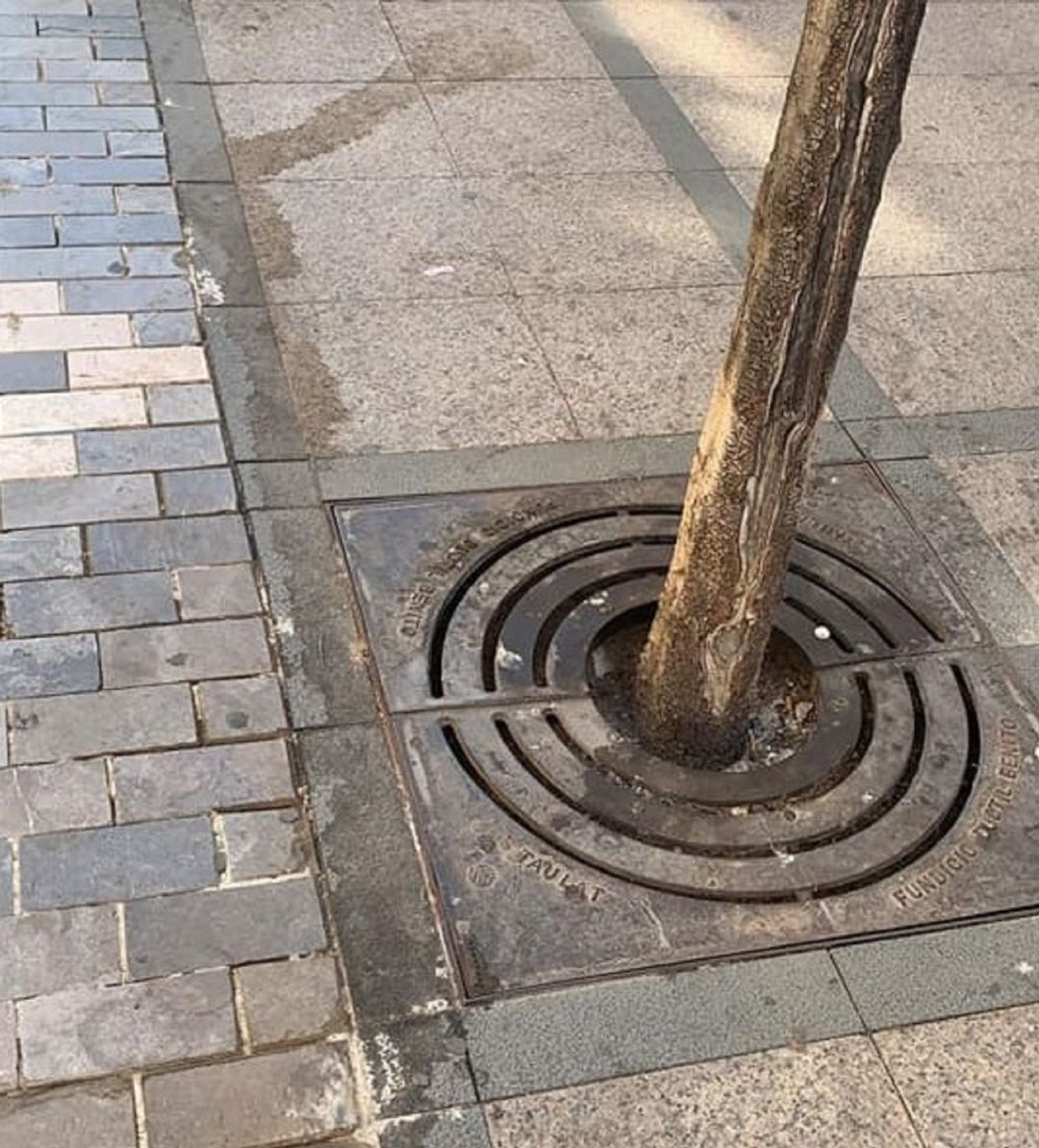 Suciedad en la calle Emilio Castelar Suciedad en la calle Emilio Castelar