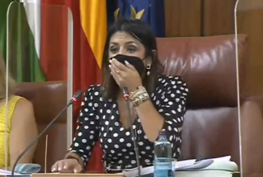 Una rata "enorme" se cuela en el pleno del Parlamento de Andalucía. Una rata "enorme" se cuela en el pleno del Parlamento de Andalucía.