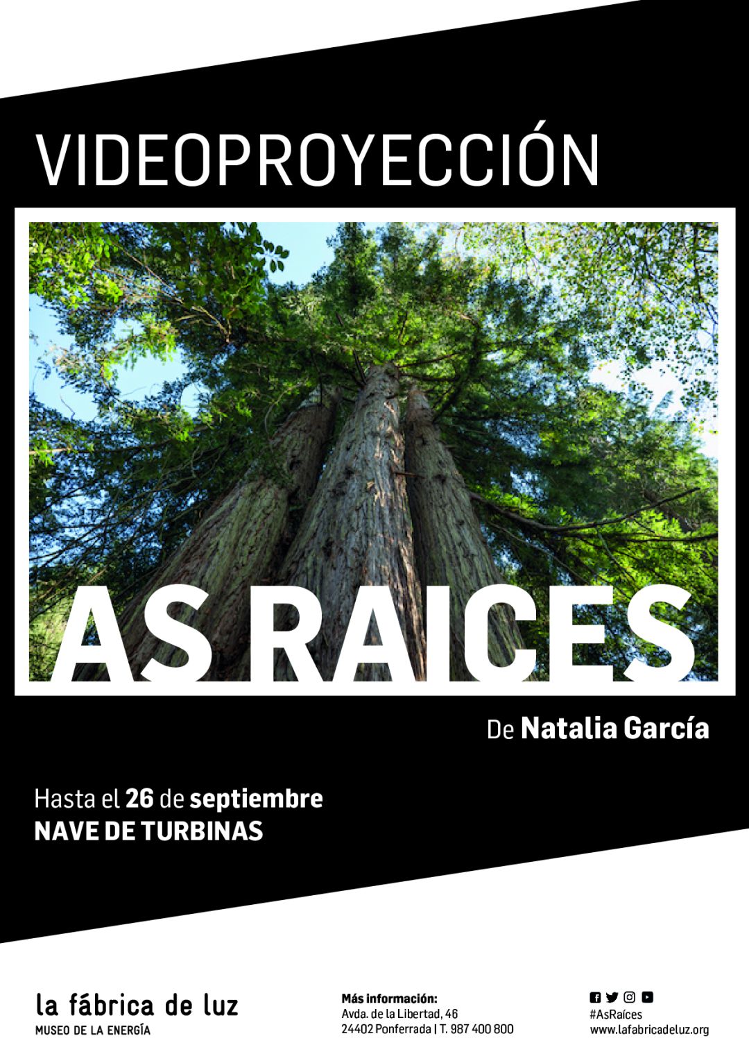 Cartel de la videoproyección "As raíces". Cartel de la videoproyección "As raíces".
