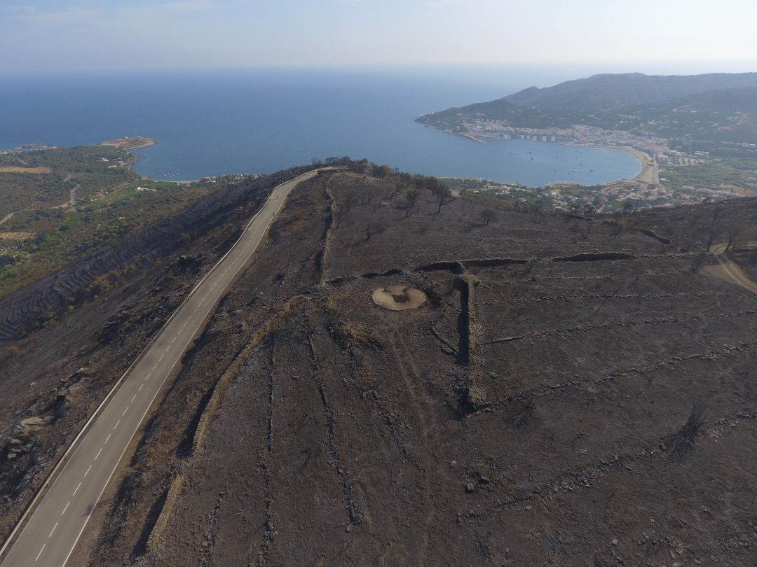 Una imatge de la zona calcinada al Cap de Creus Una imatge de la zona calcinada al Cap de Creus