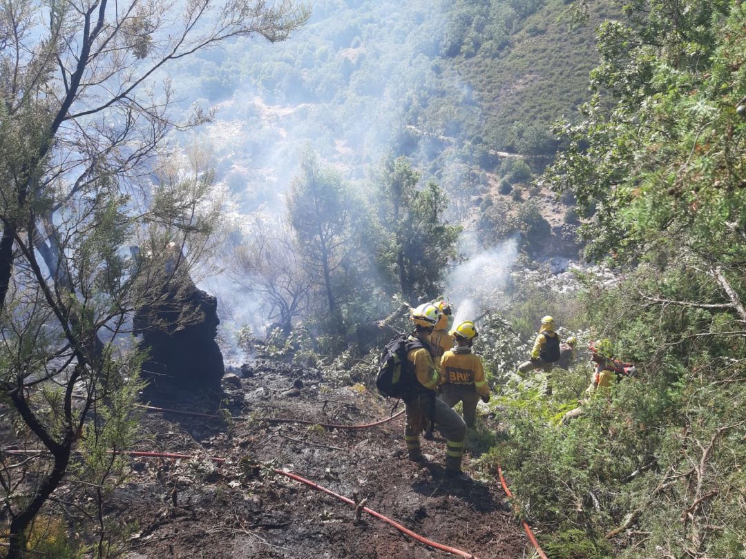 Estabilizado el incendio forestal de Candeleda Estabilizado el incendio forestal de Candeleda