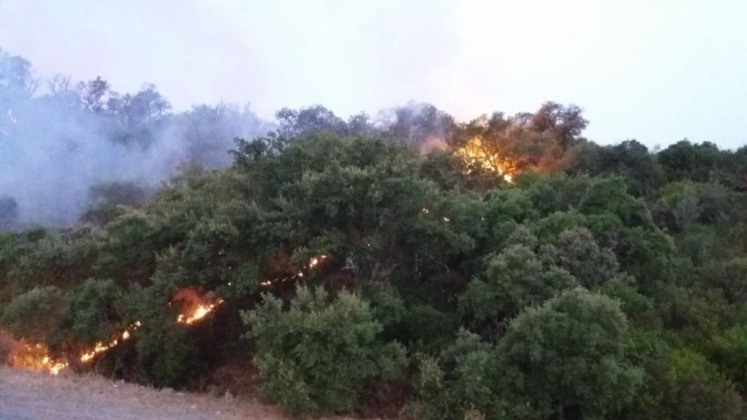 Incendio en zona forestal de El Garrobo Incendio en zona forestal de El Garrobo