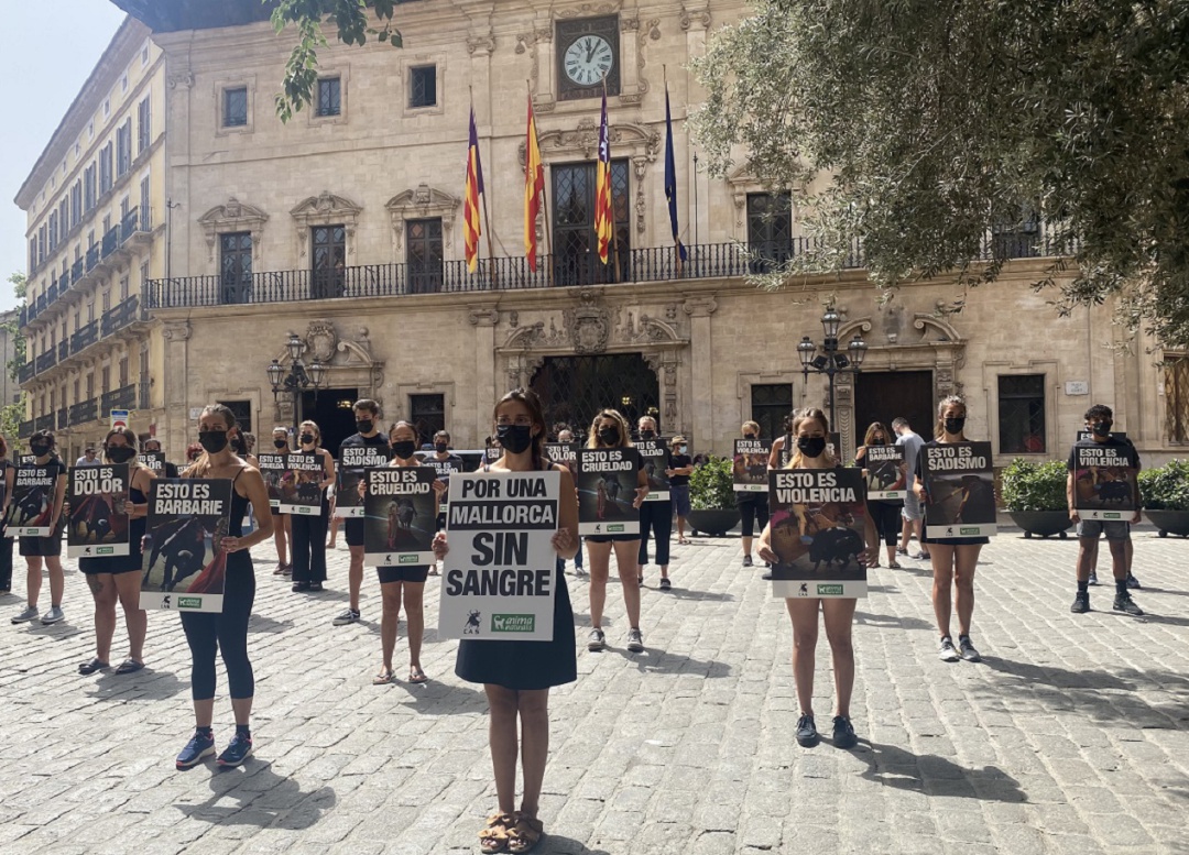Alrededor de 40 personas han protestado en Palma en contra del regreso de las corridas de toros a Balears. Alrededor de 40 personas han protestado en Palma en contra del regreso de las corridas de toros a Balears.