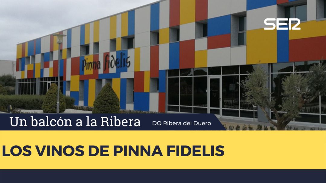 Pinna Fidelis Pinna Fidelis