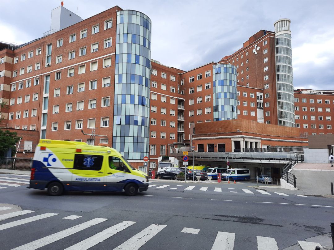 Hospital de Cruces (Bizkaia) Hospital de Cruces (Bizkaia)