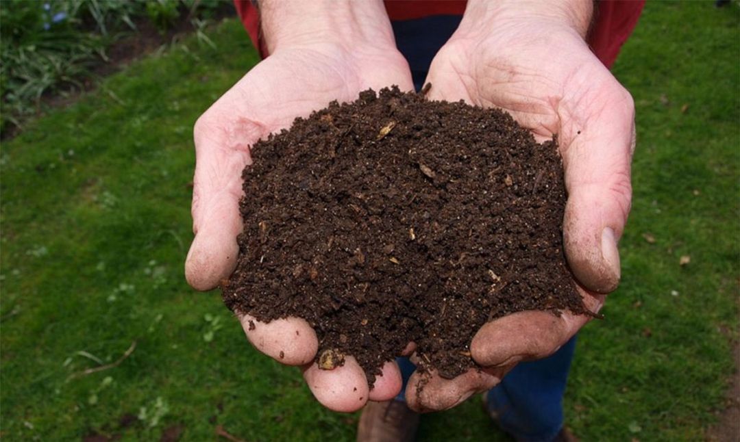 El Consorcio de residuos Crea presenta su proyecto de Compostaje Doméstico El Consorcio de residuos Crea presenta su proyecto de Compostaje Doméstico