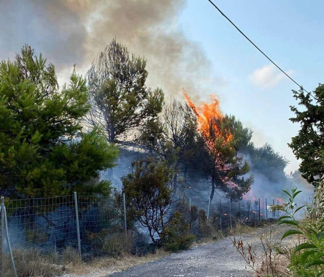 Incendio junto a la Ap-7 por culpa de una colilla Incendio junto a la Ap-7 por culpa de una colilla